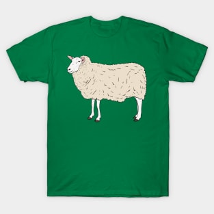 Sheep T-Shirt